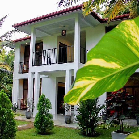 Manike Lodge Habarana Εξωτερικό φωτογραφία