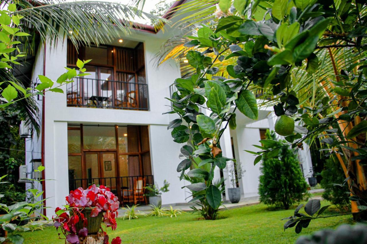 Manike Lodge Habarana Εξωτερικό φωτογραφία