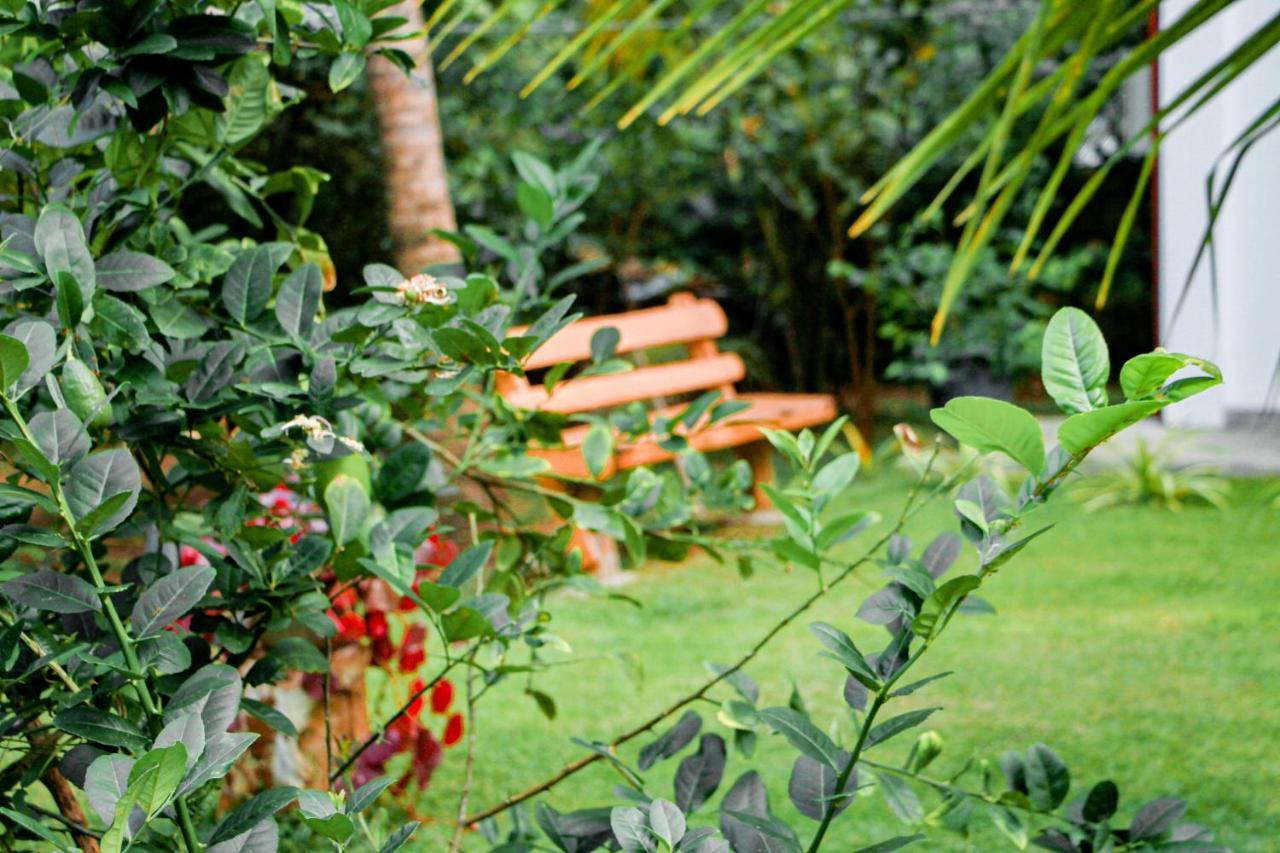 Manike Lodge Habarana Εξωτερικό φωτογραφία